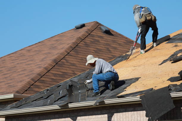 Best Solar Panel Roofing Installation  in East Berwick, PA