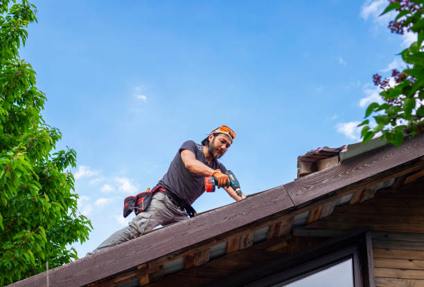 Trusted East Berwick, PA Roofing services Experts